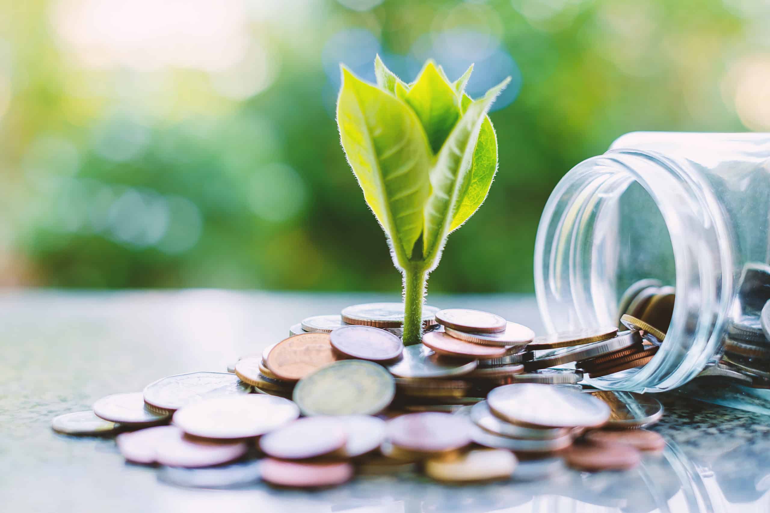 3 TSX Dividend Champions Every Retiree Should Consider
