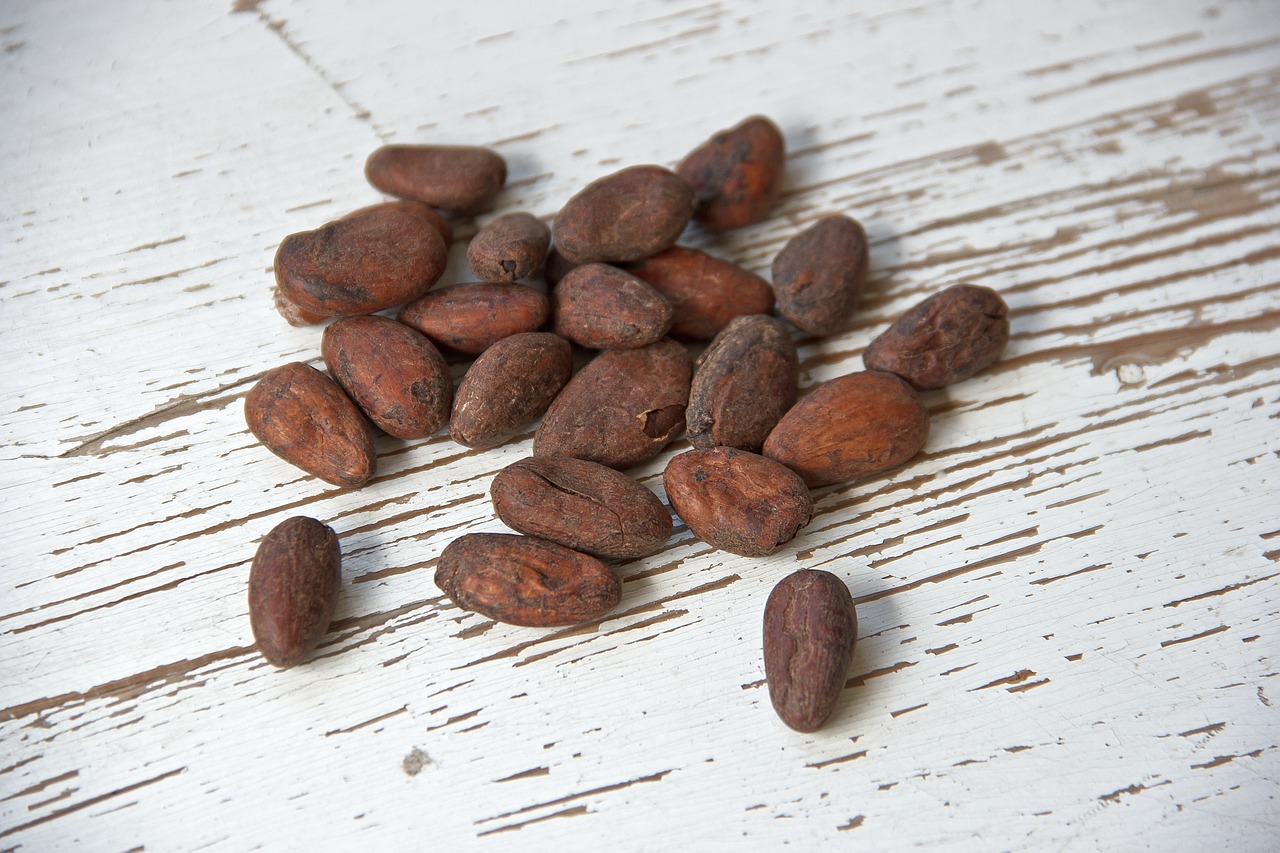 Cocoa Prices Consolidate Last Week’s Rally