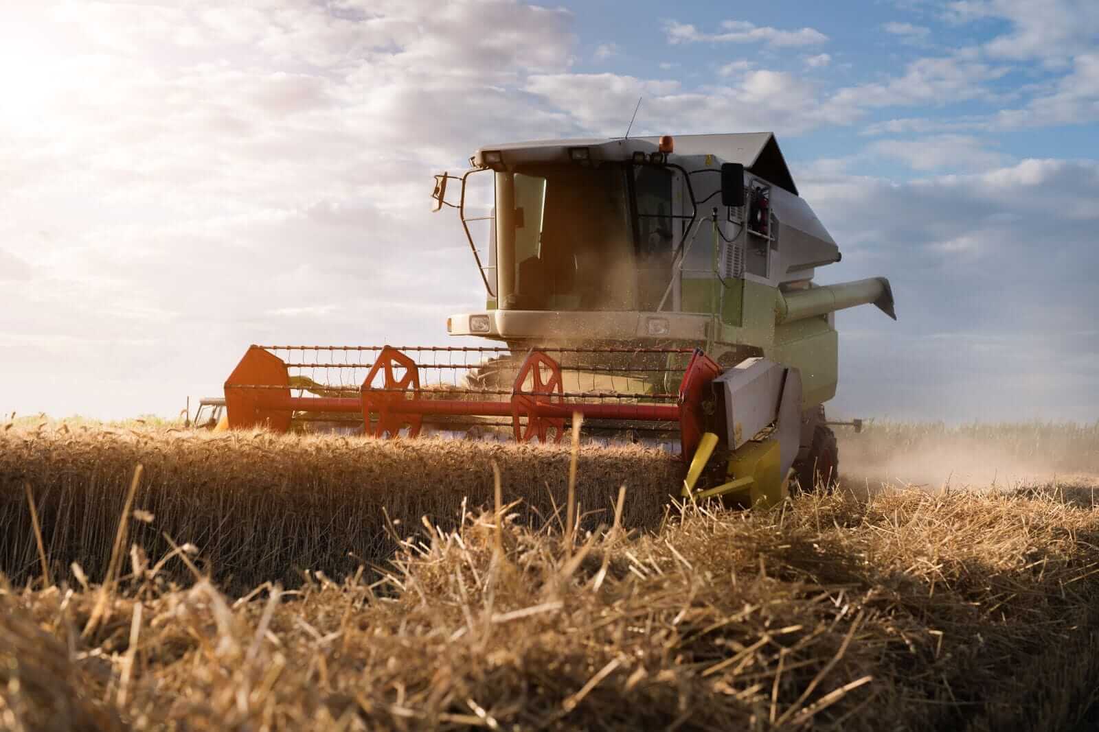 Wheat Rallies on Wednesday following Black Sea Escalation
