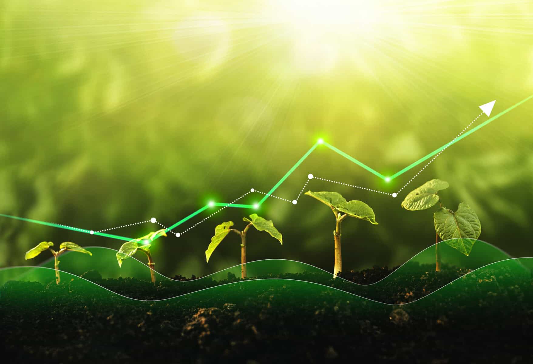 Top Discounted TSX Dividend Stocks to Snap Up Now